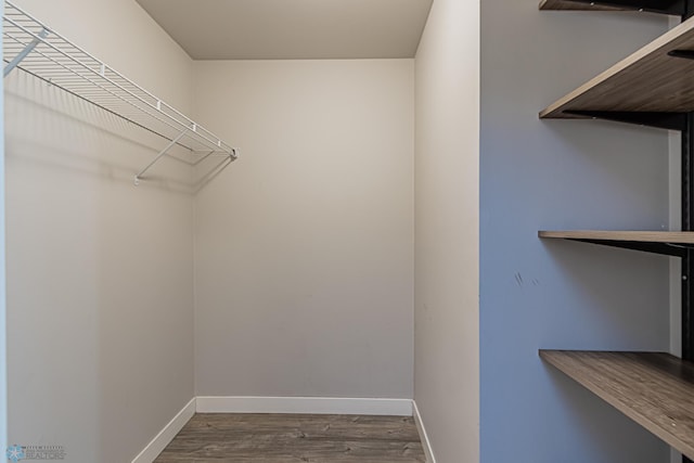 walk in closet with dark hardwood / wood-style floors