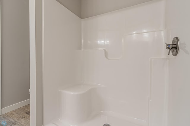 bathroom with walk in shower and hardwood / wood-style flooring