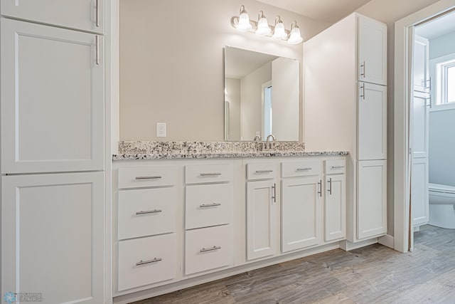 bathroom with hardwood / wood-style floors, vanity, and toilet