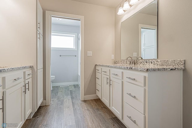 bathroom featuring hardwood / wood-style flooring, vanity, and toilet