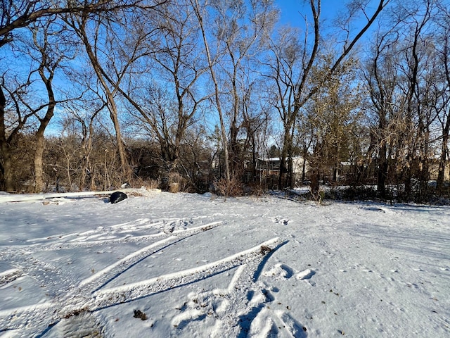 view of yard covered in snow