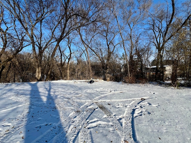 view of snowy yard