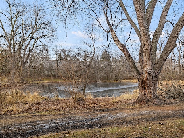 view of yard featuring a water view