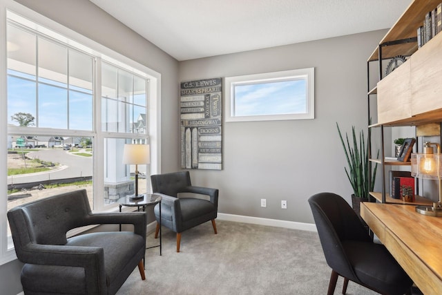 office space with light colored carpet and a healthy amount of sunlight