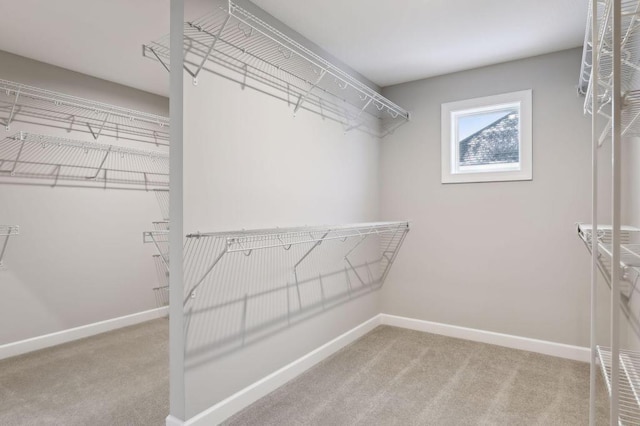 spacious closet with light carpet