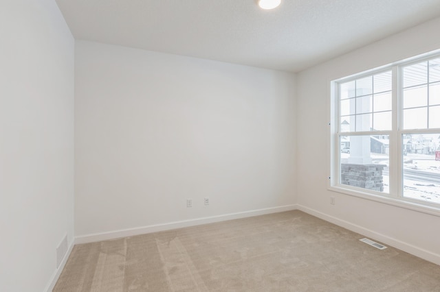 empty room featuring light carpet and plenty of natural light