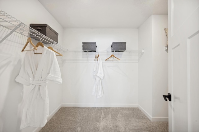 walk in closet featuring carpet flooring