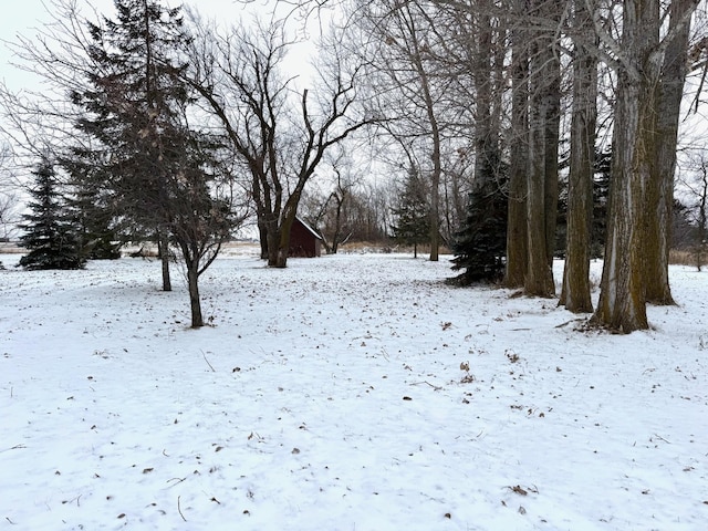 view of yard covered in snow