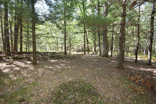 LOT2 Olsen Rd, Webster WI, 54893 land for sale