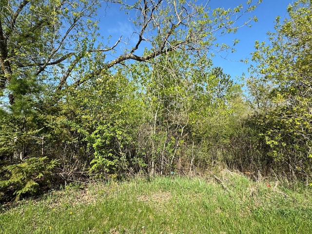 view of landscape