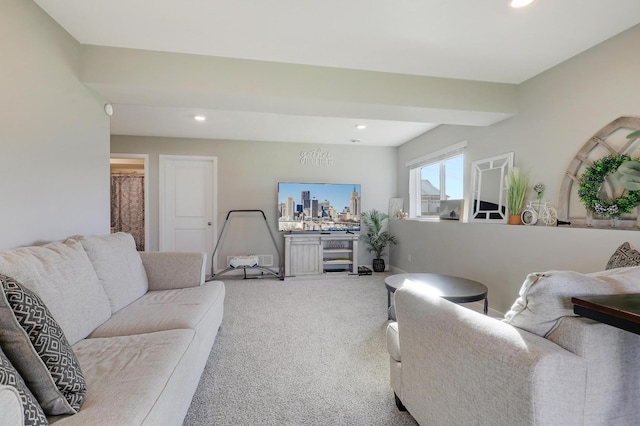 living room featuring carpet floors