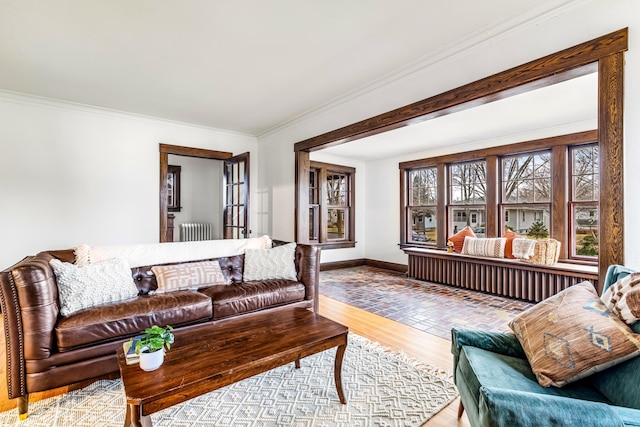 living room featuring radiator, crown molding, and light hardwood / wood-style flooring