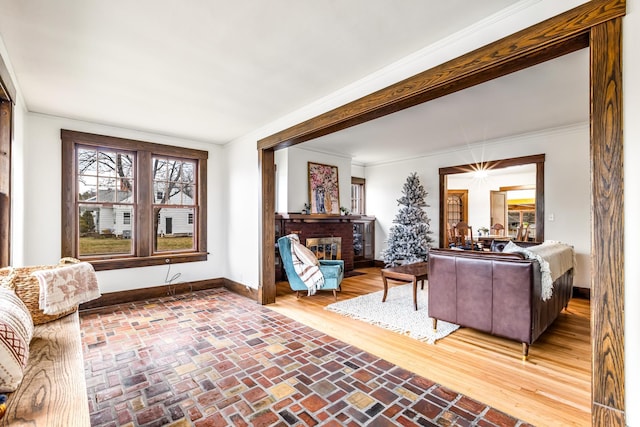 living room with wood-type flooring, a fireplace, and ornamental molding