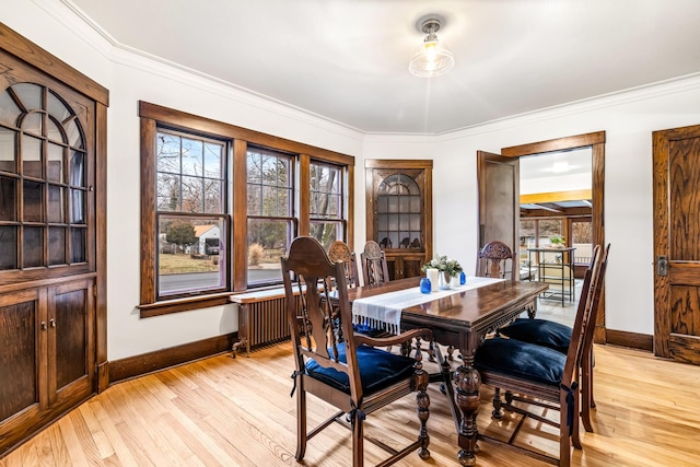 dining room with plenty of natural light, crown molding, radiator, and light hardwood / wood-style flooring