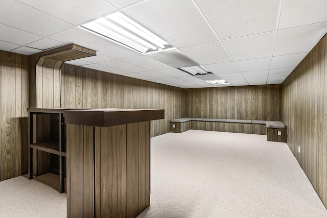 bar featuring a paneled ceiling, wood walls, and carpet floors