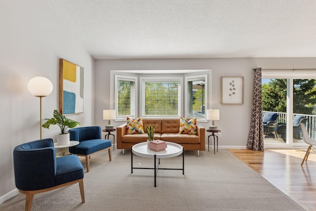 carpeted living area with a textured ceiling and baseboards