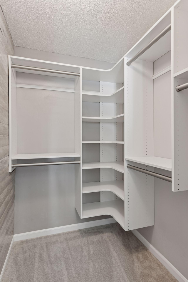 spacious closet featuring carpet floors