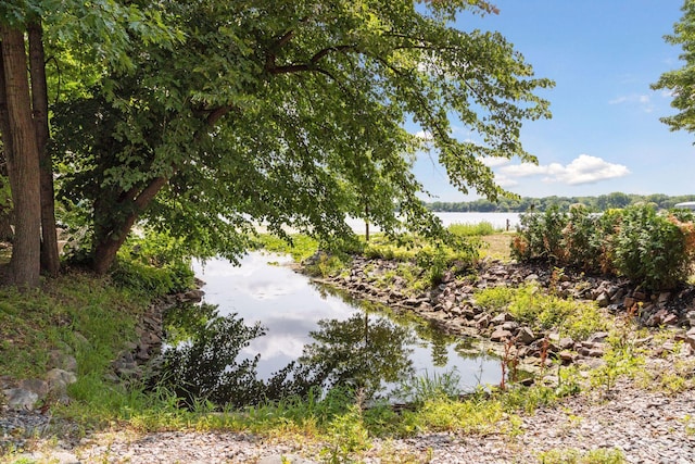 water view