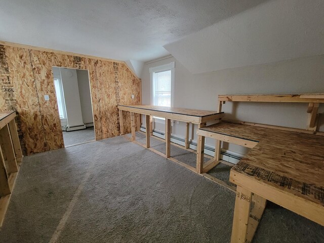 additional living space featuring carpet flooring, vaulted ceiling, a baseboard radiator, and a textured ceiling