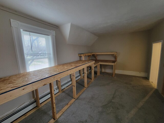 additional living space featuring carpet flooring, a baseboard heating unit, and vaulted ceiling