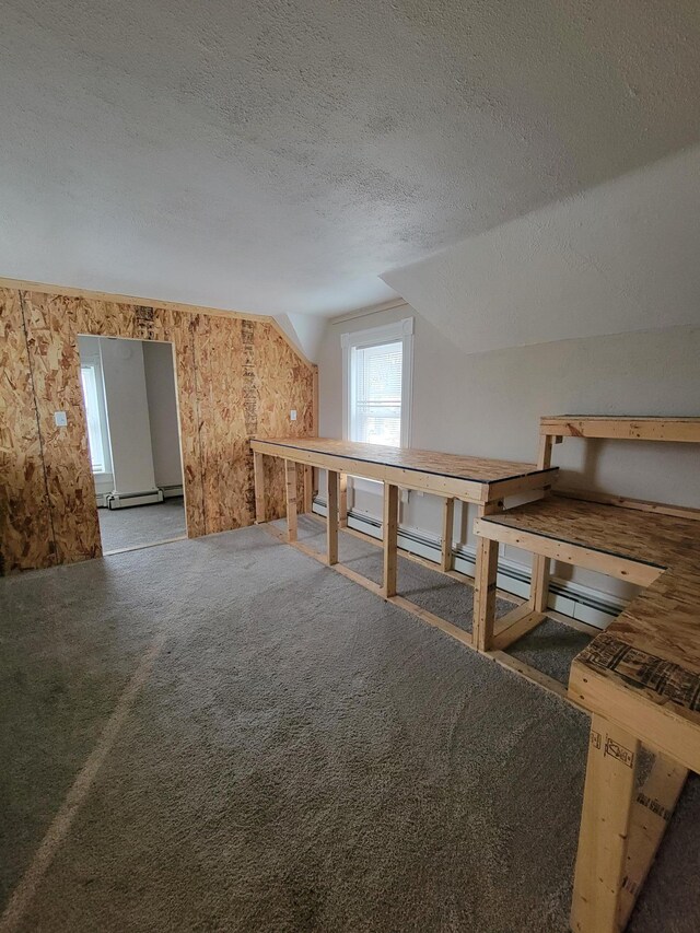 additional living space with a textured ceiling, carpet floors, a baseboard radiator, and lofted ceiling