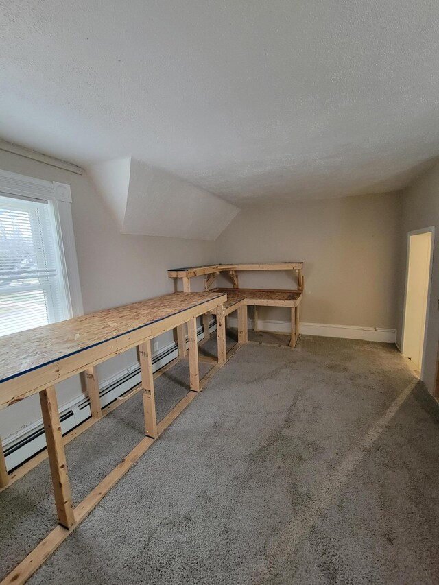 miscellaneous room with a textured ceiling, carpet, and lofted ceiling