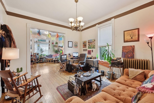 living room with a chandelier, radiator, and hardwood / wood-style floors