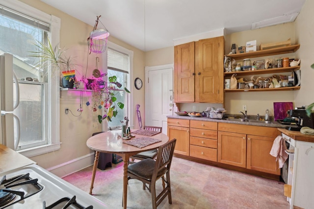 kitchen featuring sink and white gas stove