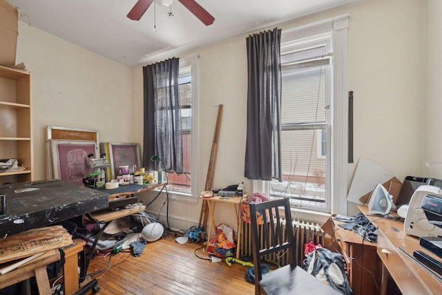 office featuring radiator, hardwood / wood-style flooring, and ceiling fan