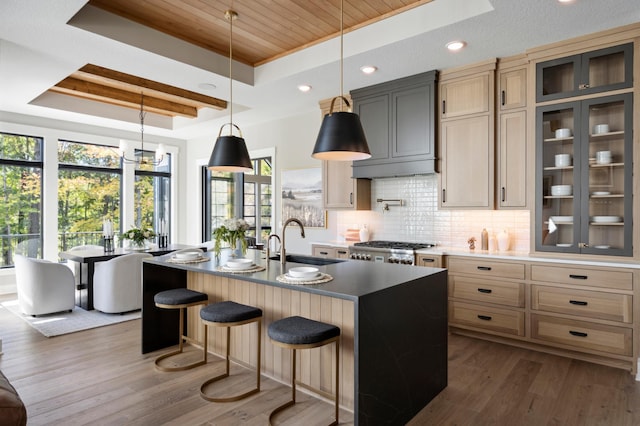 kitchen with a raised ceiling, stove, a kitchen island with sink, and backsplash