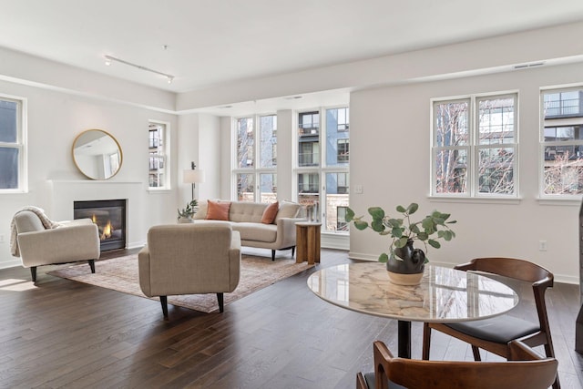 2825 Colfax Ave S Unit 211, Minneapolis, MN 55408 - living room featuring dark wood-type flooring, a glass covered fireplace, track lighting, and baseboards