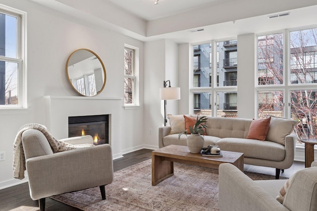 2825 Colfax Ave S Unit 211, Minneapolis, MN 55408 - living area featuring a glass covered fireplace, wood finished floors, and baseboards