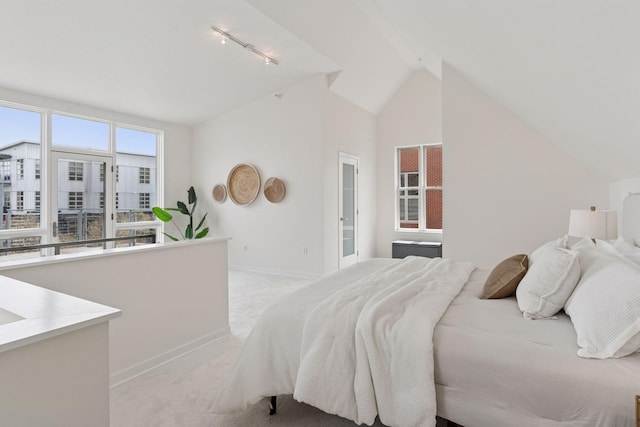 2825 Colfax Ave S Unit 211, Minneapolis, MN 55408 - bedroom featuring light colored carpet, lofted ceiling, rail lighting, and baseboards