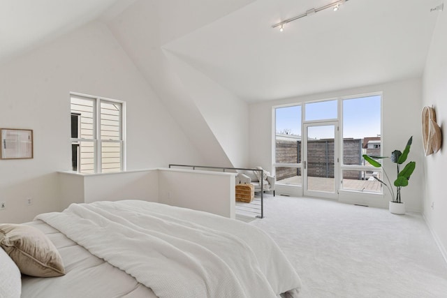 2825 Colfax Ave S Unit 211, Minneapolis, MN 55408 - bedroom featuring vaulted ceiling, access to exterior, carpet flooring, and track lighting