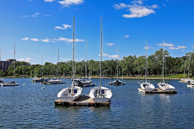 2825 Colfax Ave S Unit 211, Minneapolis, MN 55408 - dock featuring a water view