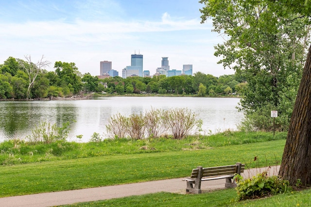 2825 Colfax Ave S Unit 211, Minneapolis, MN 55408 - water view featuring skyline
