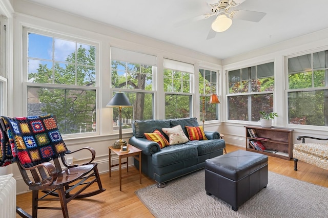 1941 James Ave S, Minneapolis, MN 55403 - sunroom / solarium featuring a wooden deck, wood finished floors, and radiator heating unit