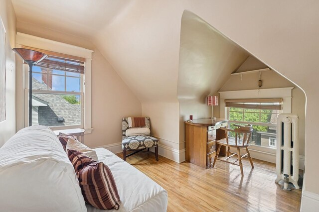 1941 James Ave S, Minneapolis, MN 55403 - interior space with vaulted ceiling, light wood-style flooring, baseboards, and radiator