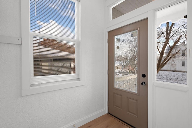 doorway featuring wood-type flooring