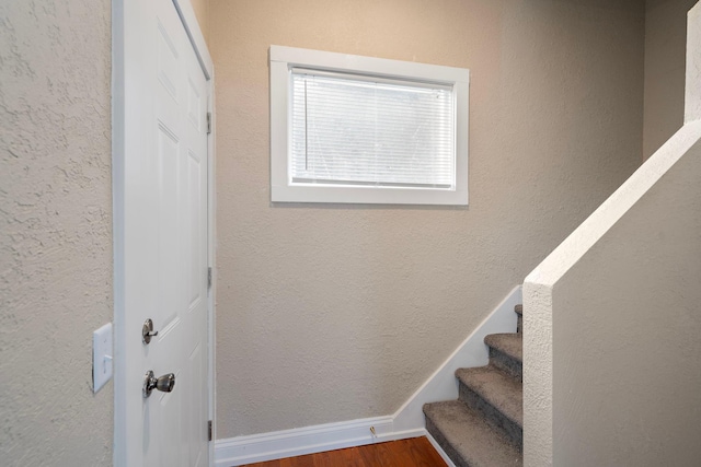 staircase with wood-type flooring