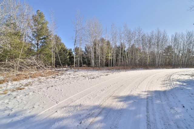 TBD Portage Cir, Browerville MN, 56438 land for sale