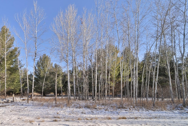 Listing photo 2 for TBD Portage Cir, Browerville MN 56438