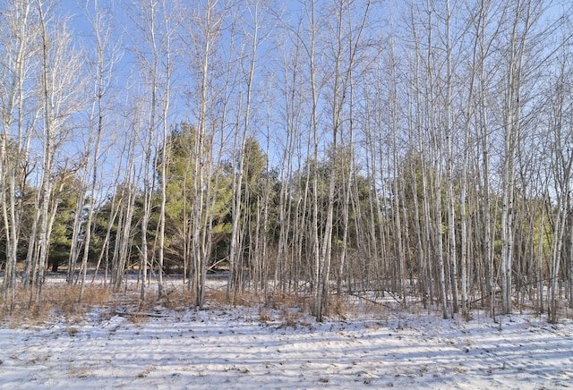 Listing photo 3 for TBD Portage Cir, Browerville MN 56438