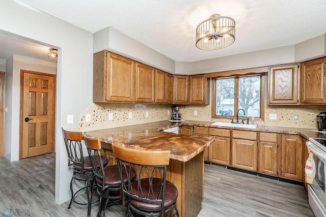 kitchen featuring light wood-style flooring, a sink, electric stove, decorative backsplash, and a kitchen bar