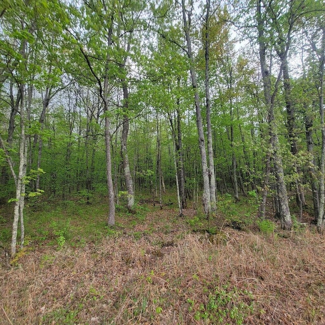 LOT11 County Road A, Spooner, WI 54801 - photo 1