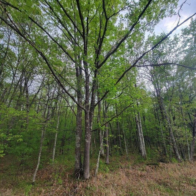 LOT11 County Road A, Spooner, WI 54801 - photo 2