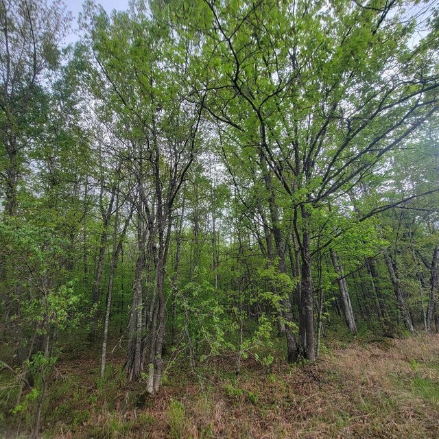 LOT11 County Road A, Spooner, WI 54801 - photo 3