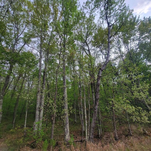 LOT11 County Road A, Spooner, WI 54801 - photo 6