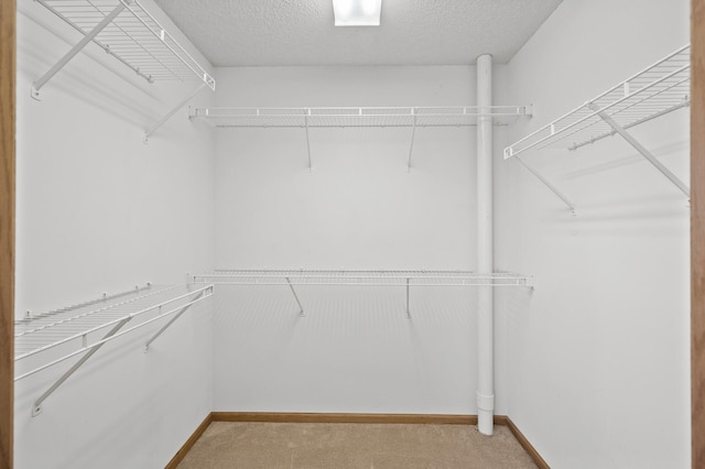 walk in closet featuring light colored carpet