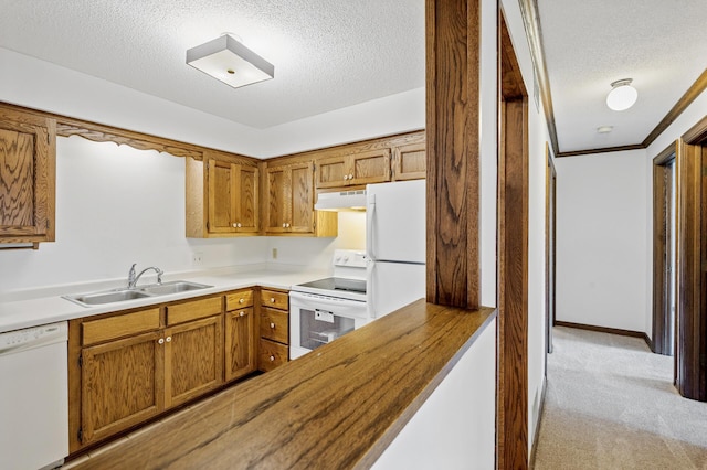 kitchen featuring sink, range hood, a textured ceiling, white appliances, and light carpet